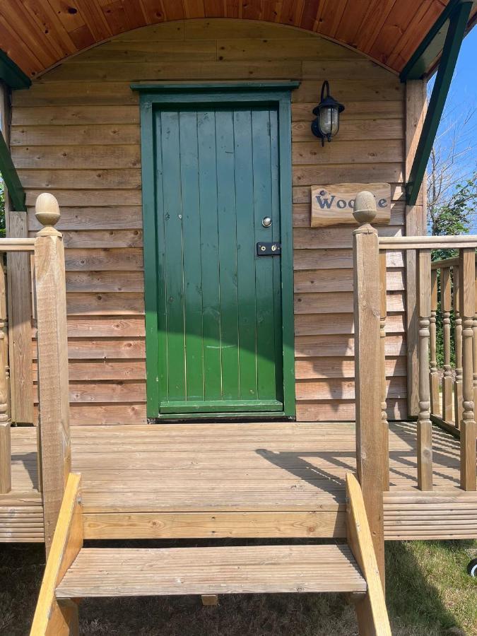 Woodie The Shepherds Hut - Sleeps 4 Чичестер Экстерьер фото